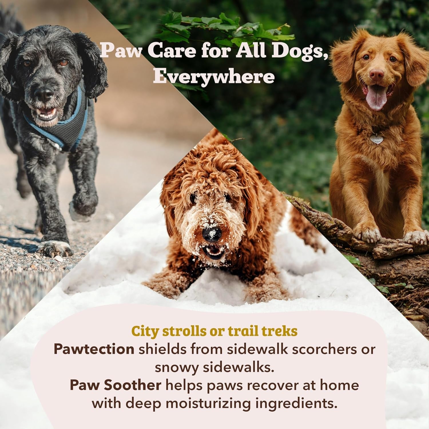 Pawtection, 1 Oz Tin, Veterinarian-Approved, All-Natural Dog Paw Balm and Moisturizer, Nourishing Dog Paw Protector for Rough Terrain and Harsh Temperatures