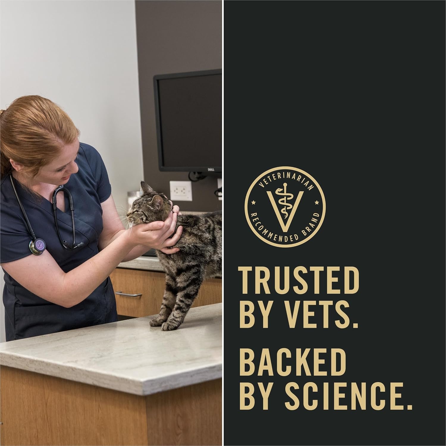 Liveclear with Probiotics Allergen Reducing Adult Dry Cat Food